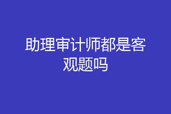 助理审计师都是客观题吗