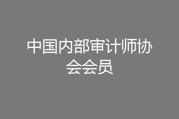中国内部审计师协会会员