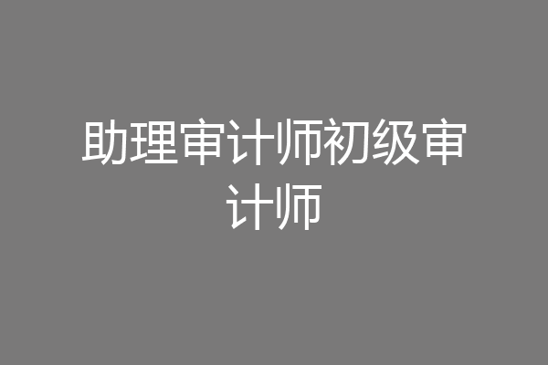 助理审计师初级审计师