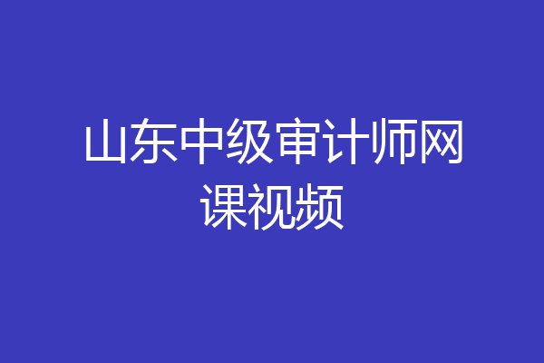 山东中级审计师网课视频