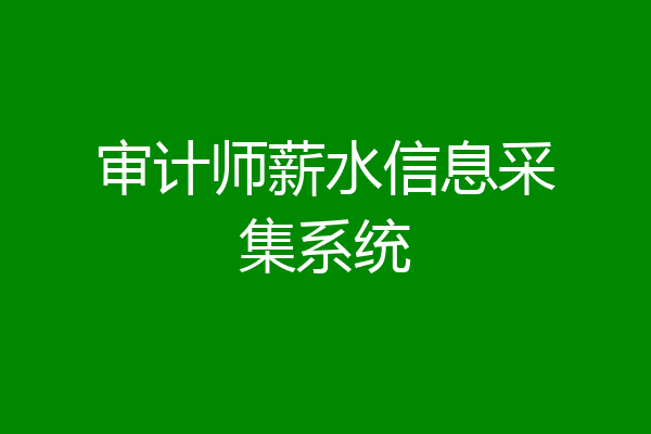 审计师薪水信息采集系统