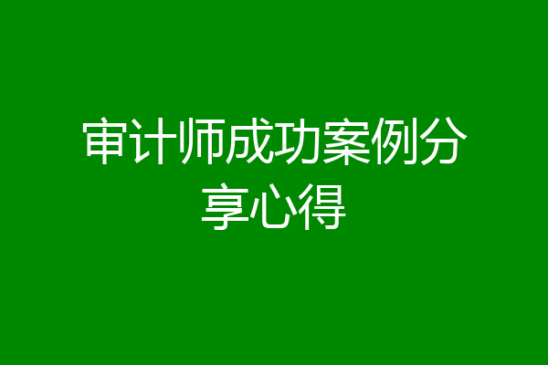 审计师成功案例分享心得