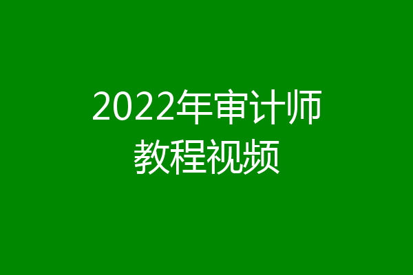 2022年审计师教程视频