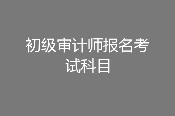 初级审计师报名考试科目