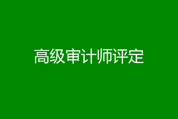 高级审计师评定