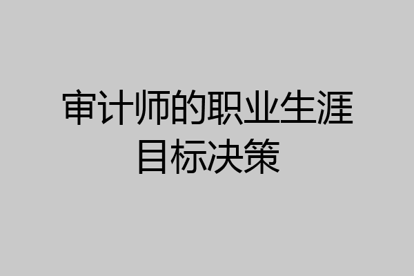 审计师的职业生涯目标决策