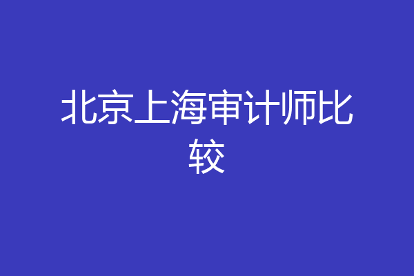 北京上海审计师比较