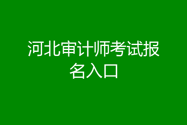 河北审计师考试报名入口