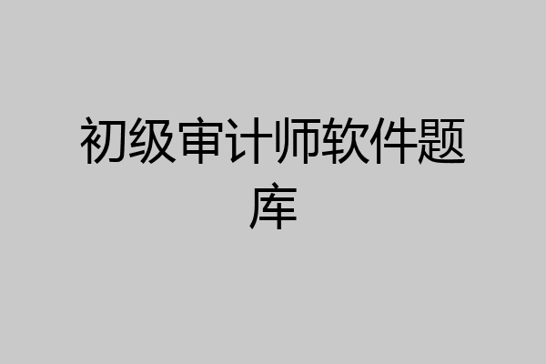 初级审计师软件题库