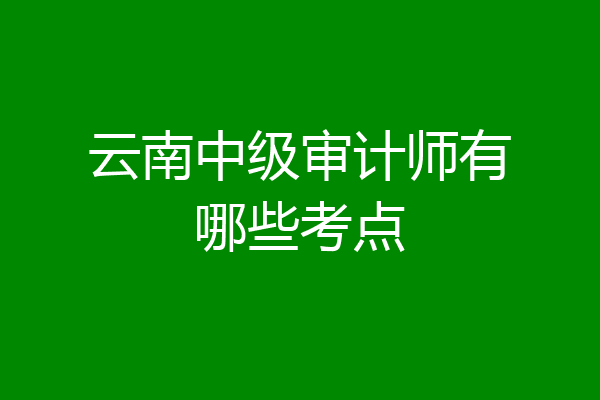 云南中级审计师有哪些考点