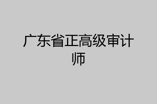 广东省正高级审计师