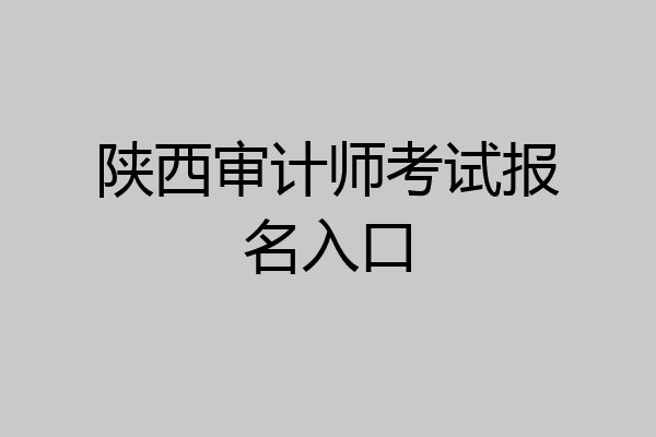 陕西审计师考试报名入口