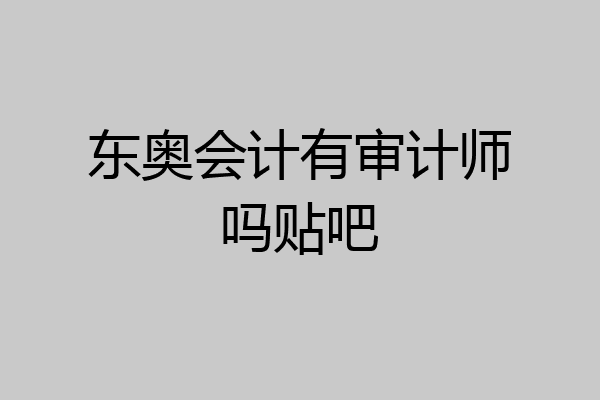 东奥会计有审计师吗贴吧