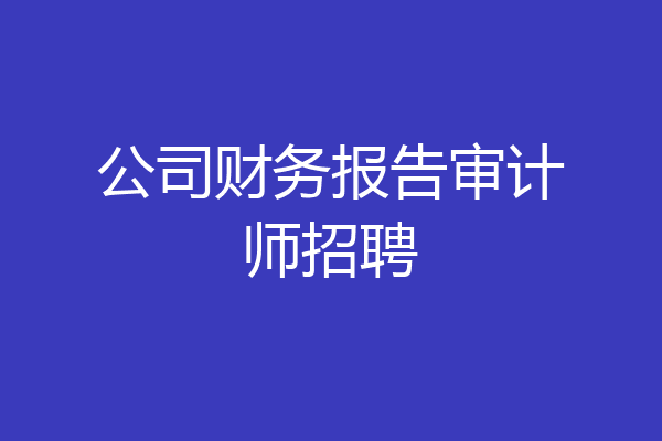 公司财务报告审计师招聘