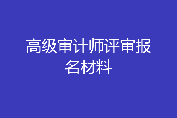 高级审计师评审报名材料