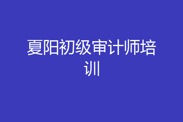 夏阳初级审计师培训