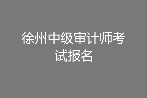 徐州中级审计师考试报名