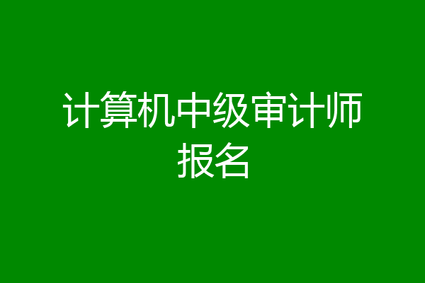 计算机中级审计师报名