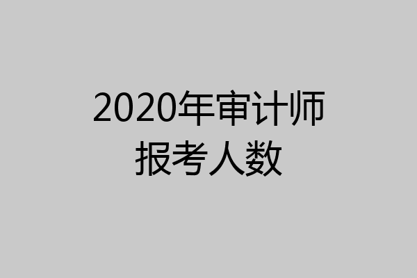 2020年审计师报考人数