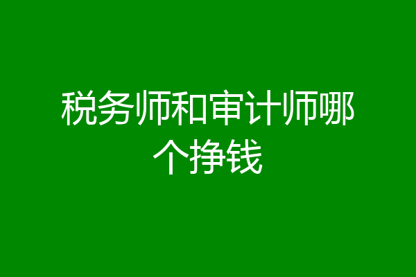 税务师和审计师哪个挣钱