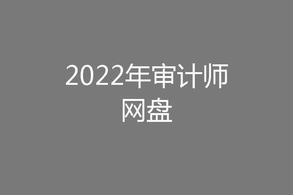 2022年审计师网盘