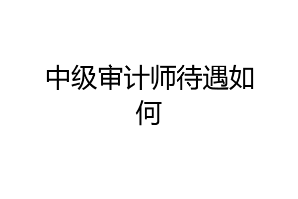 中级审计师待遇如何