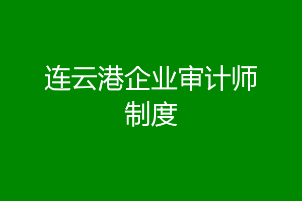连云港企业审计师制度