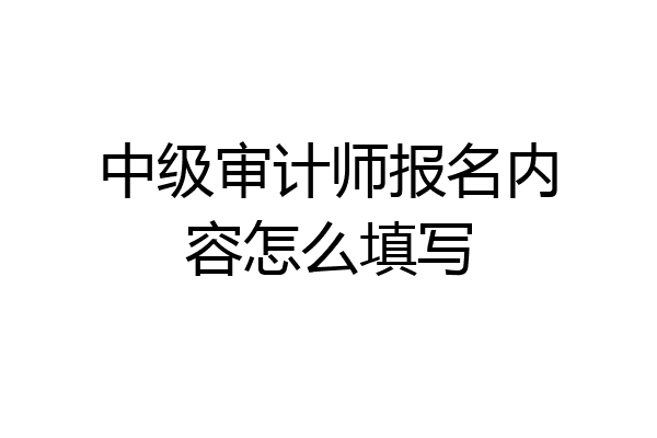 中级审计师报名内容怎么填写