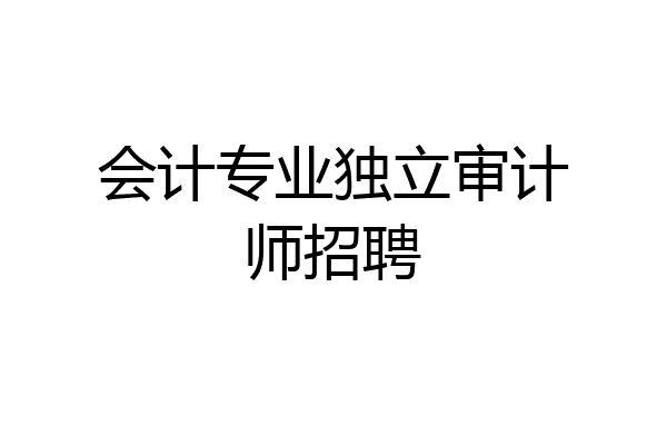 会计专业独立审计师招聘