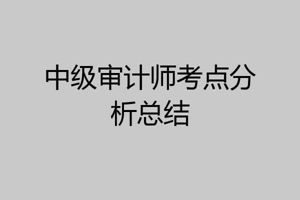 中级审计师考点分析总结