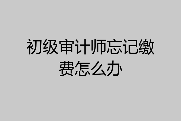 初级审计师忘记缴费怎么办