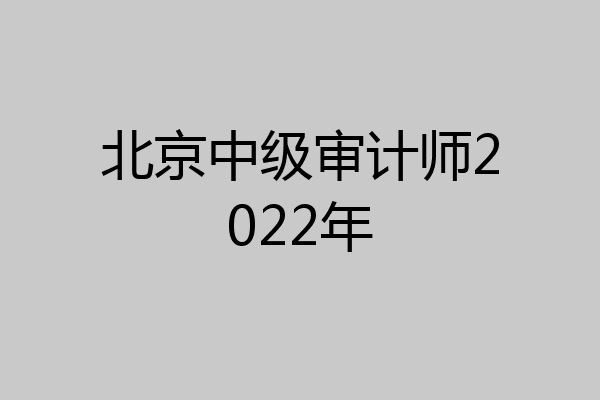 北京中级审计师2022年