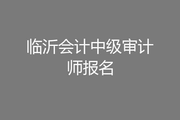 临沂会计中级审计师报名
