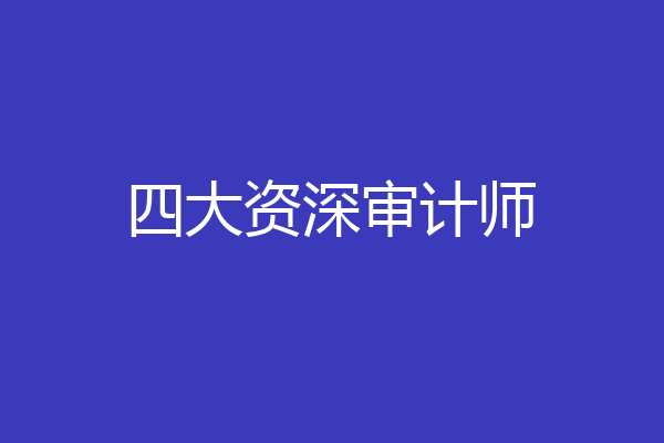 四大资深审计师