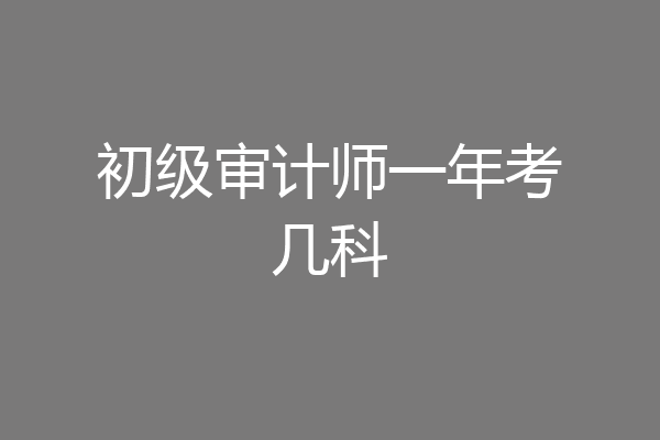 初级审计师一年考几科