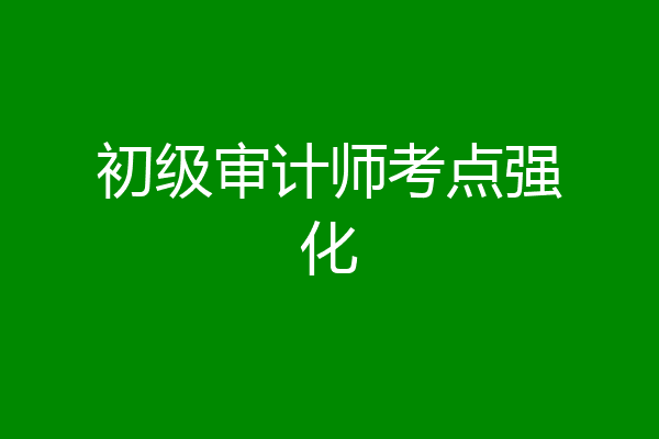 初级审计师考点强化