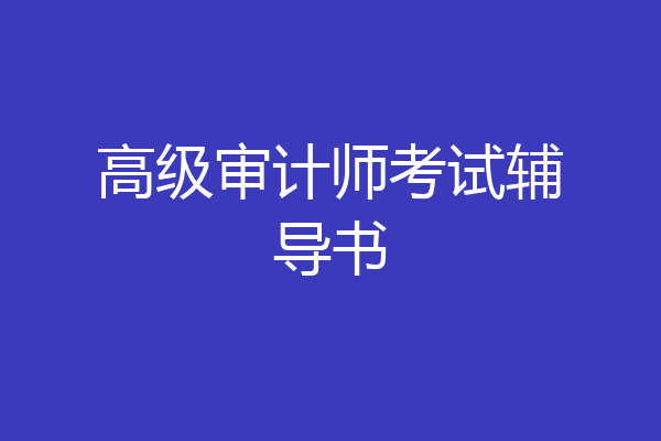 高级审计师考试辅导书