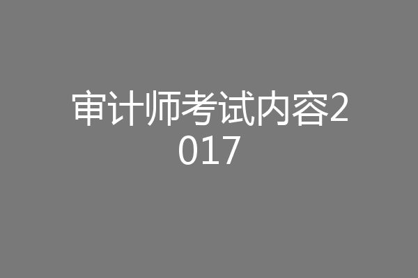 审计师考试内容2017