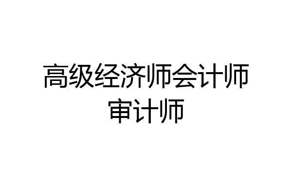 高级经济师会计师审计师