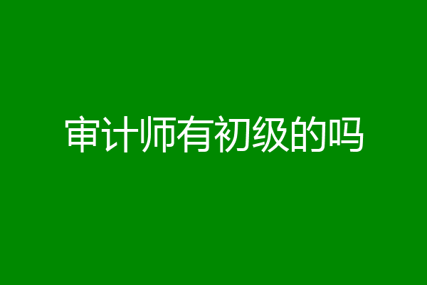 审计师有初级的吗