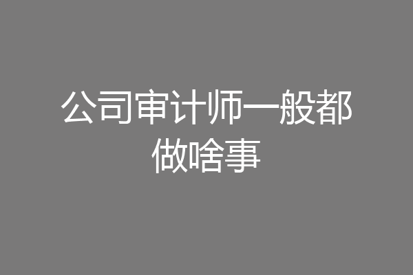公司审计师一般都做啥事