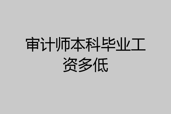 审计师本科毕业工资多低