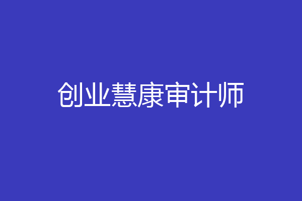 创业慧康审计师