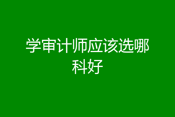 学审计师应该选哪科好