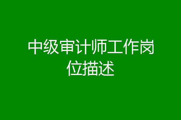 中级审计师工作岗位描述