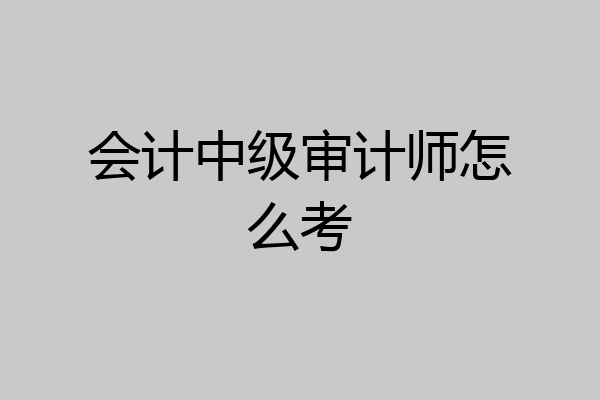 会计中级审计师怎么考