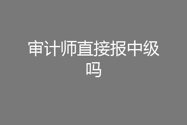 审计师直接报中级吗