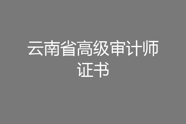 云南省高级审计师证书