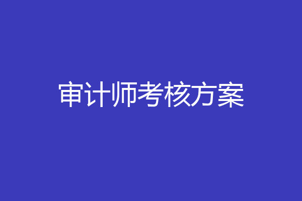 审计师考核方案