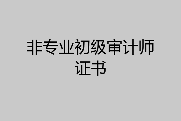 非专业初级审计师证书